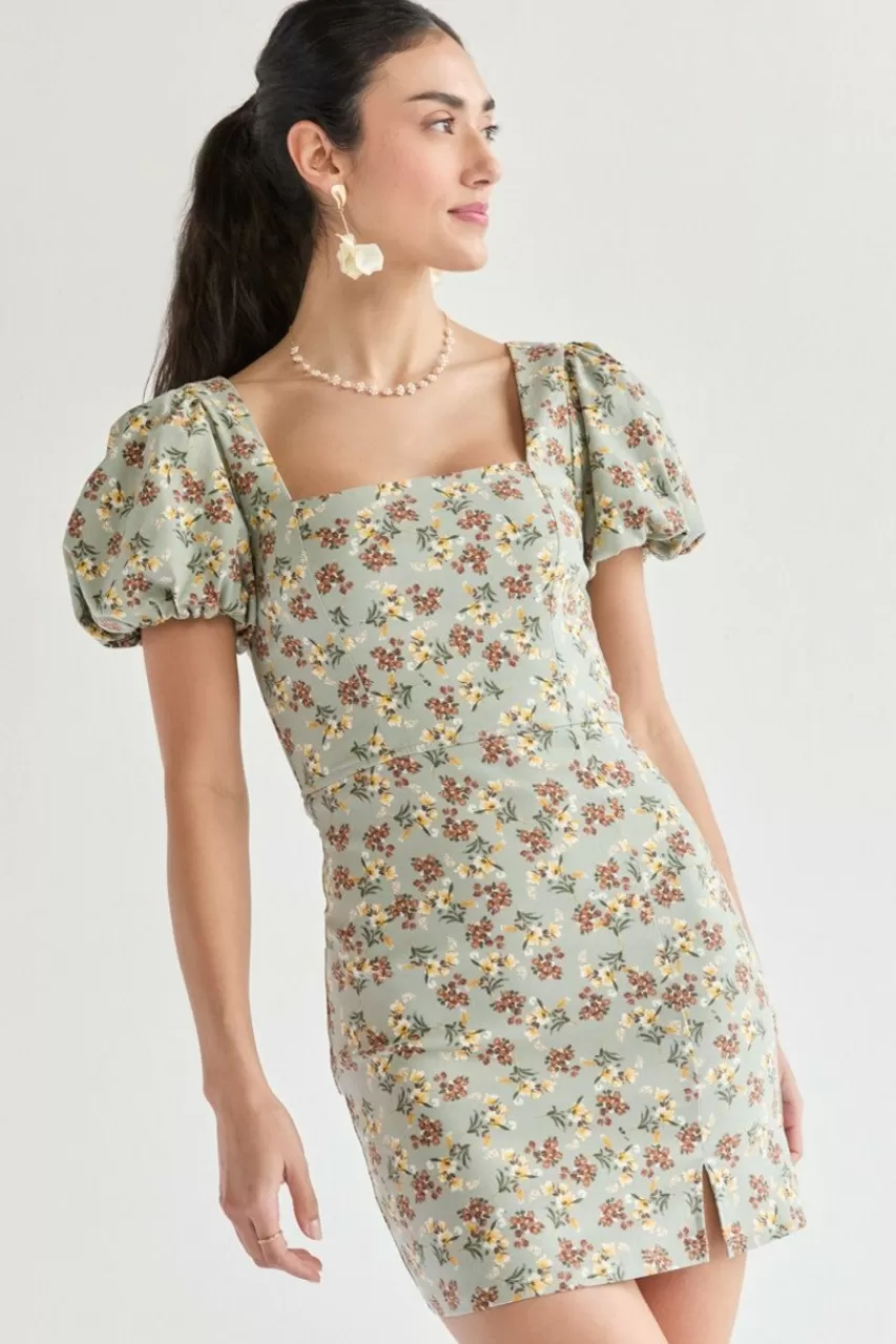Francesca's Chelsey Square Neck Waisted Dress