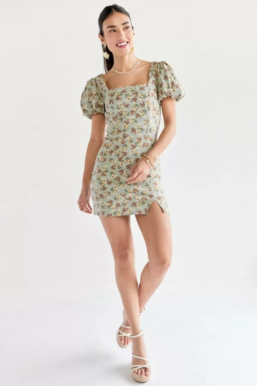 Francesca's Chelsey Square Neck Waisted Dress