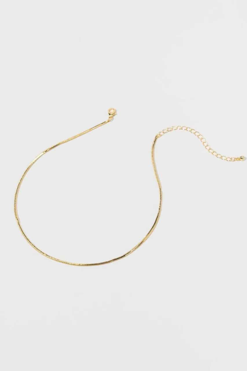 Francesca's Cierra Dip Tube Snake Chain
