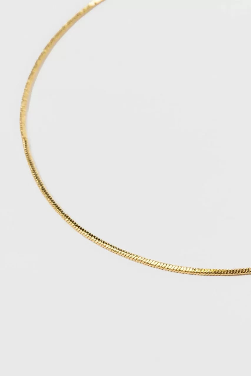 Francesca's Cierra Dip Tube Snake Chain
