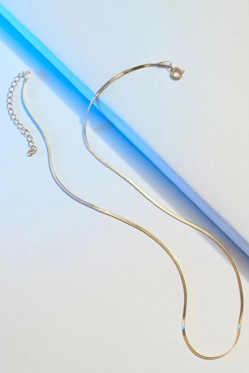 Francesca's Demi-Fine Plated Dainty Snake Chain Necklace