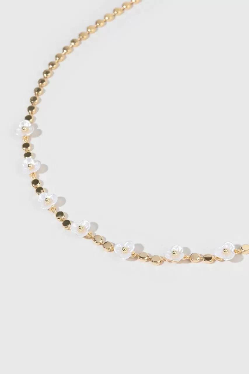 Francesca's Erna Flat Dot Chain Flower Shell Necklace