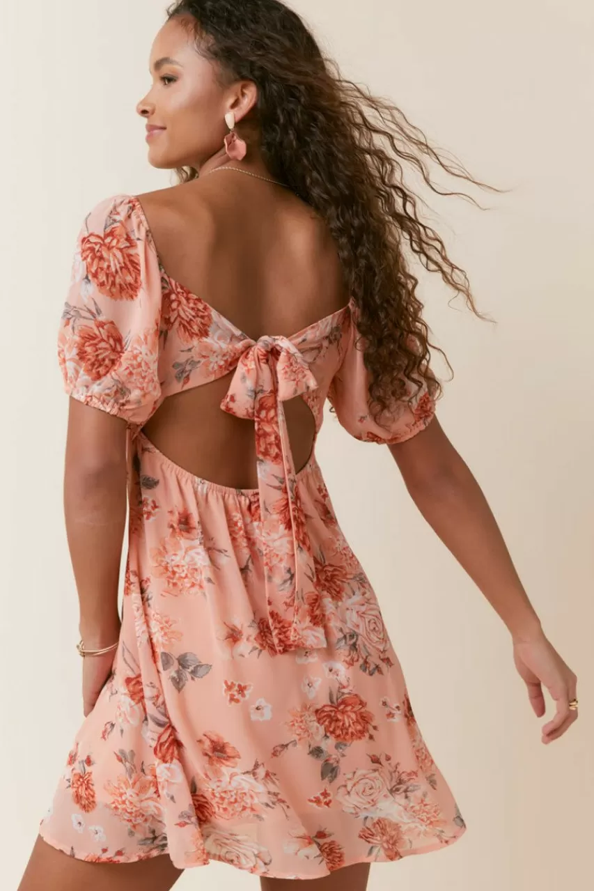 Francesca's Laurene Floral Dress