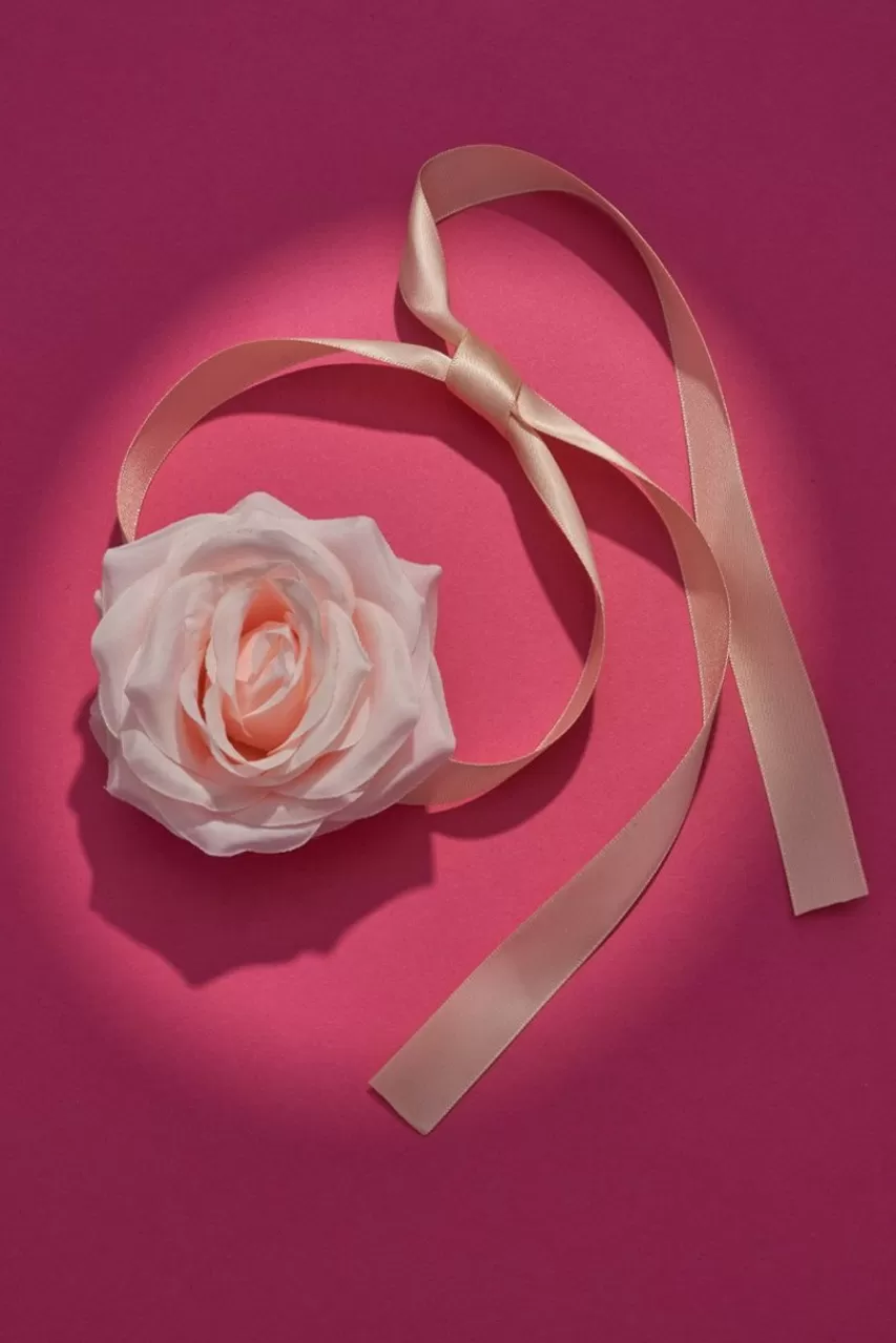 Francesca's Luxe Rosette Ribbon Choker