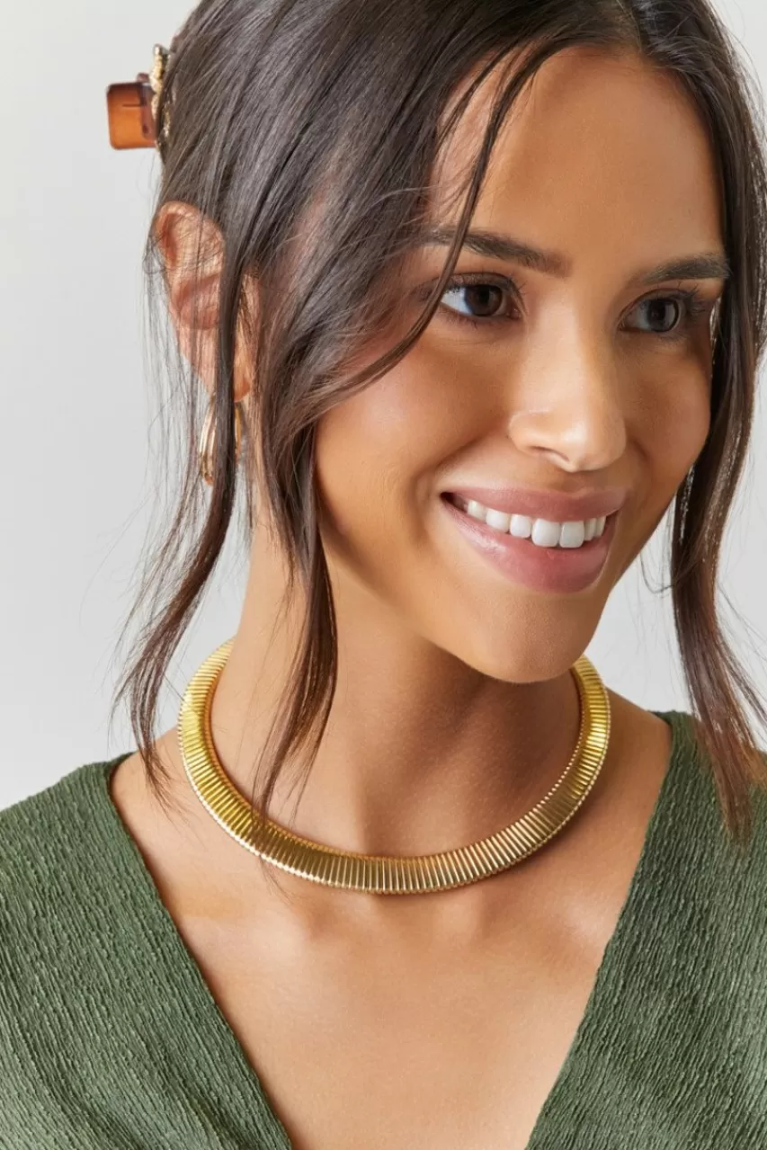 Francesca's Rebecca Thick Collar Herringbone Choker