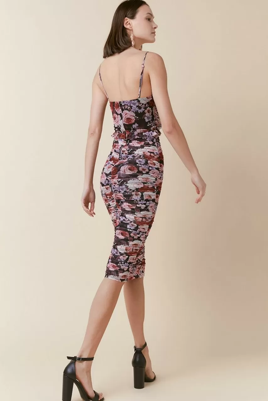 Francesca's Sofia Sleeveless Ruched Mesh Midi Dress
