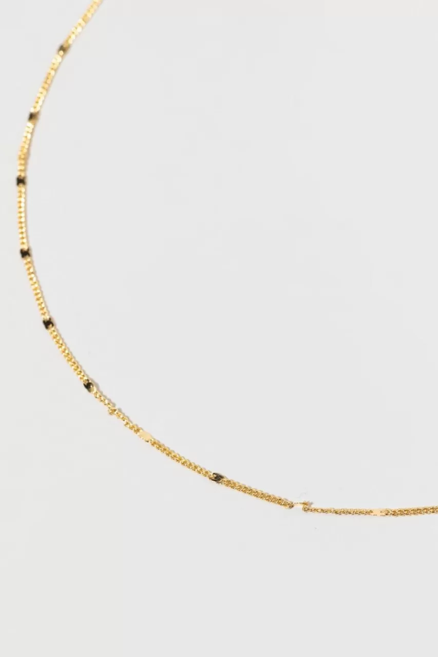 Francesca's Victoria 14K Flat Chain Necklace